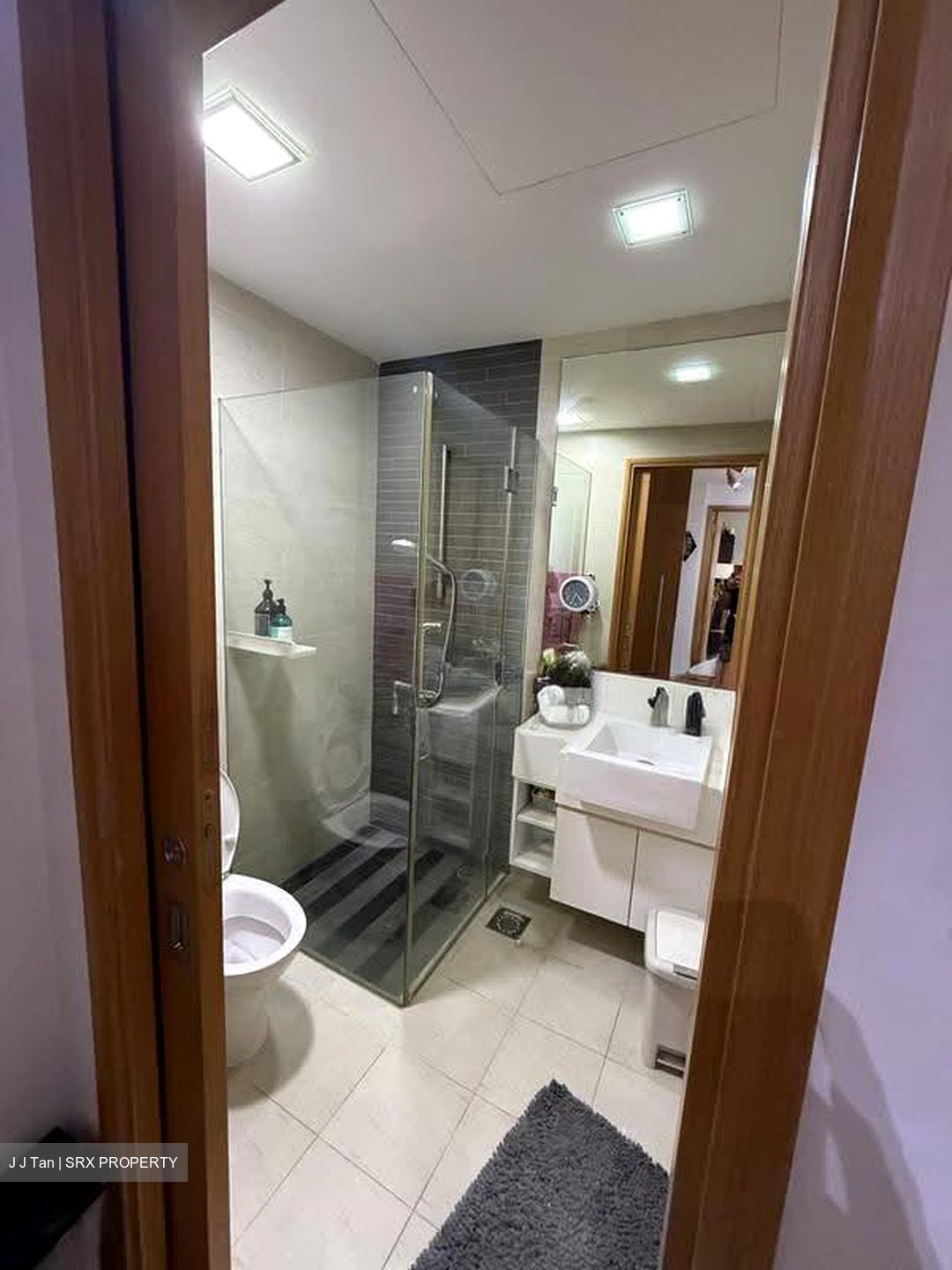 Park Infinia At Wee Nam (D11), Condominium #637307881